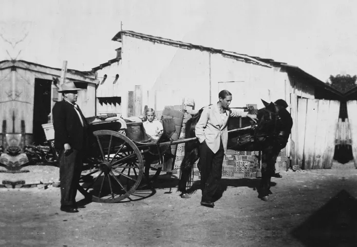 familia-kaminski-em-curitiba-4